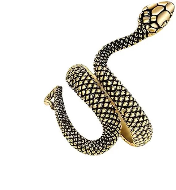 Snake Ring 🐍 Adjustable – Stainless Steel | Trend 2026