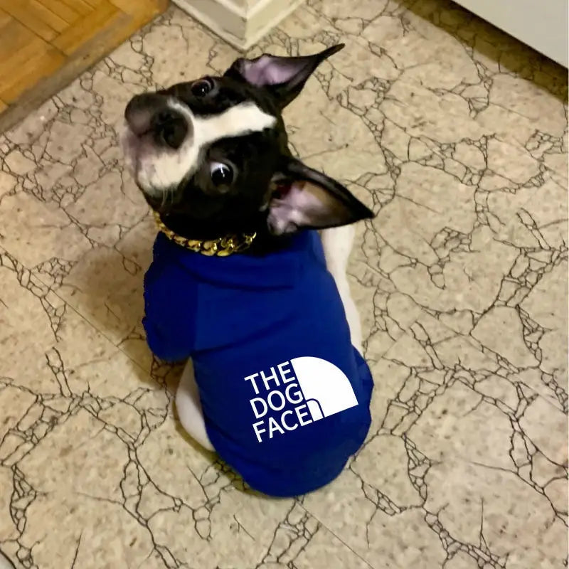 Dog Hoodie 🐶 – Warm Clothes for Small & Medium Dogs